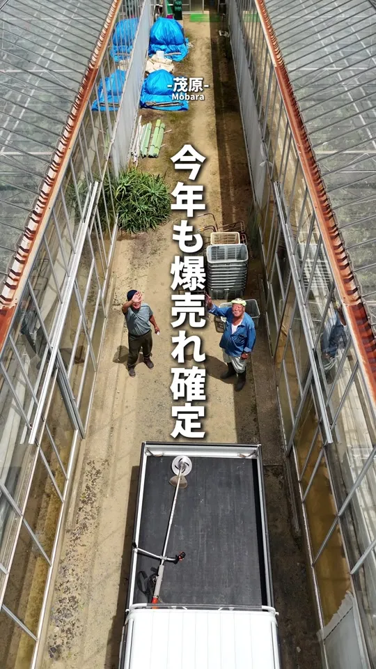 ながいき市場
