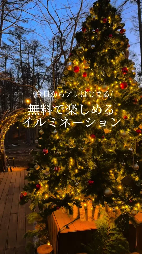 nagano forest village