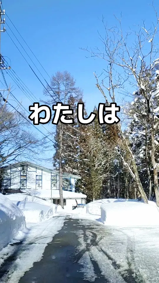 神戸っ子