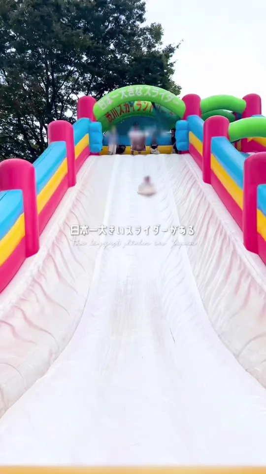 スカイフード