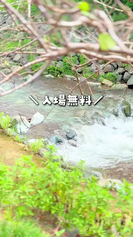 千葉県酪農のさと