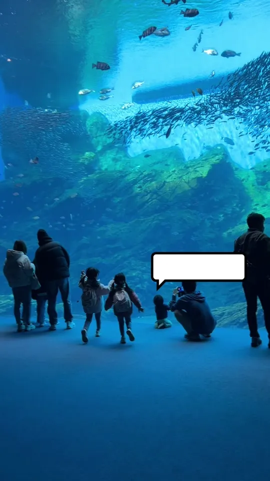 うみの杜水族館 軽飲食店･グッズ売店