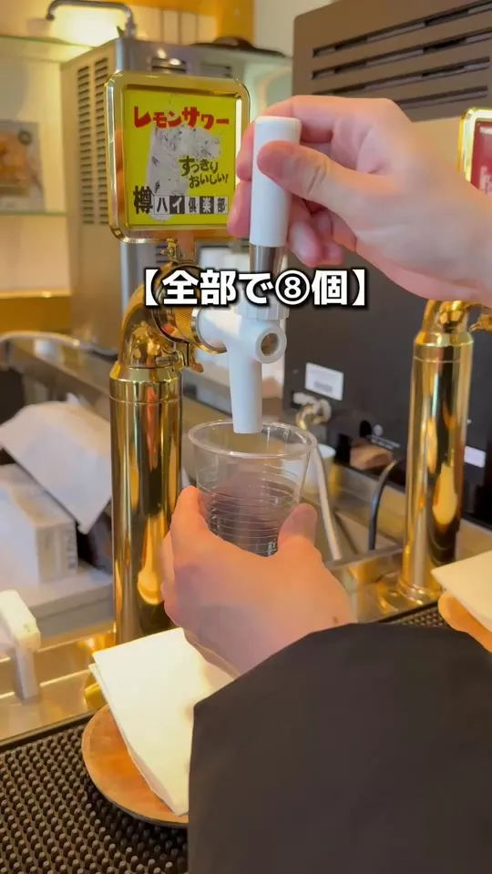 TAOYA日光霧降