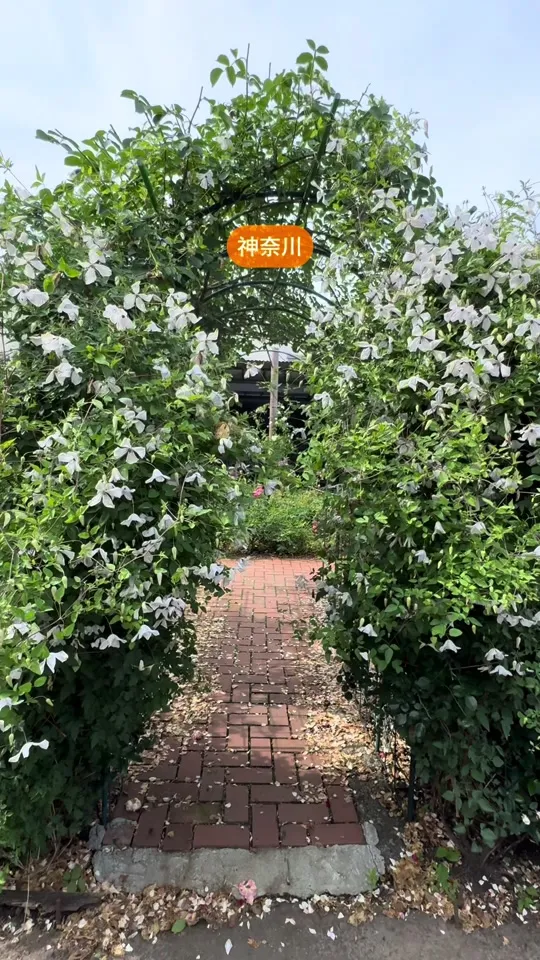 レストラン 栗の里