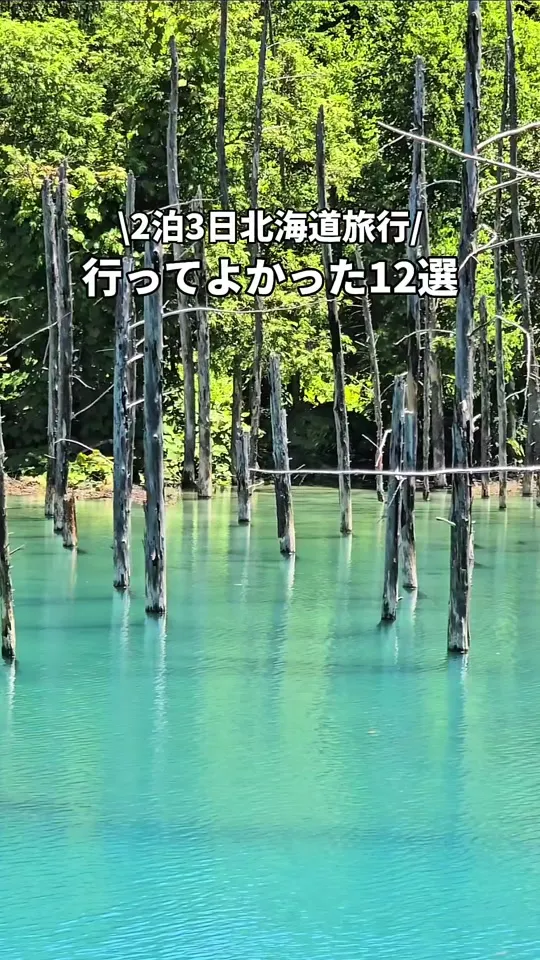 白金青い池