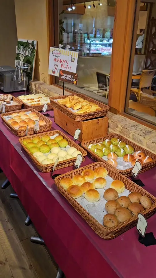 オランダ屋 奈良店