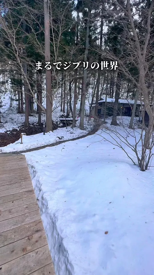 カフェ ヤマト
