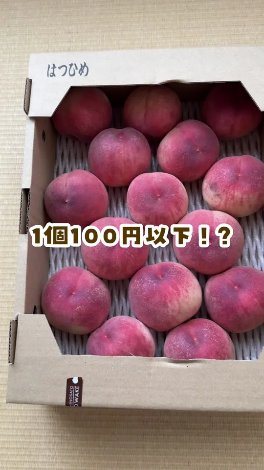 道の駅 国見 あつかしの郷