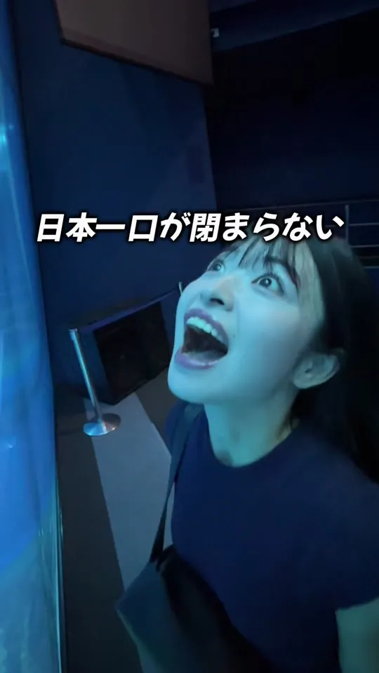 ペンギー