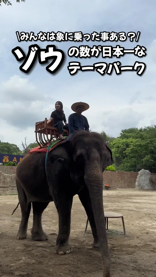 ANIMAL WONDER REZOURT 市原ぞうの国