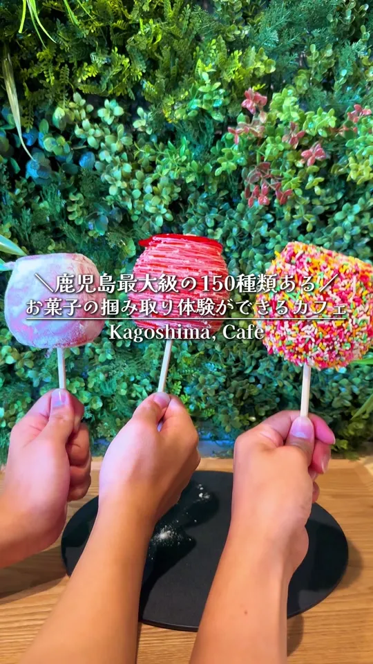 hibikids cafe