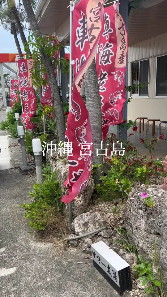 麺屋 サマー太陽