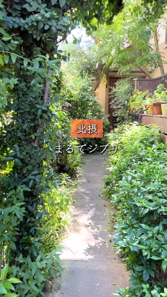 おうちカフェ 樹林