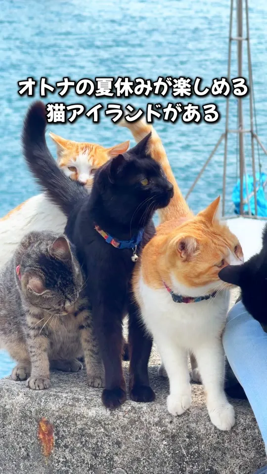 海女ちゃん食堂　乙姫屋