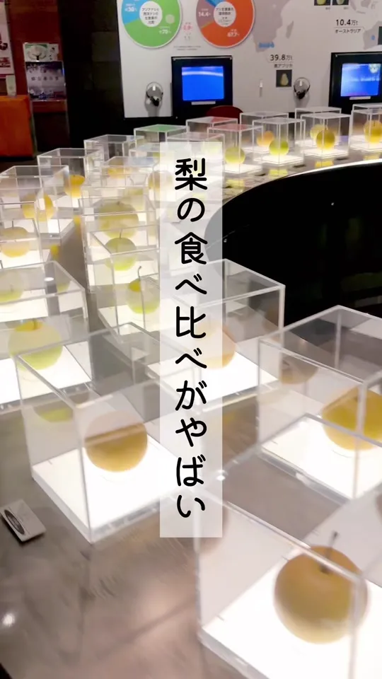 鳥取二十世紀梨記念館 なしっこ館