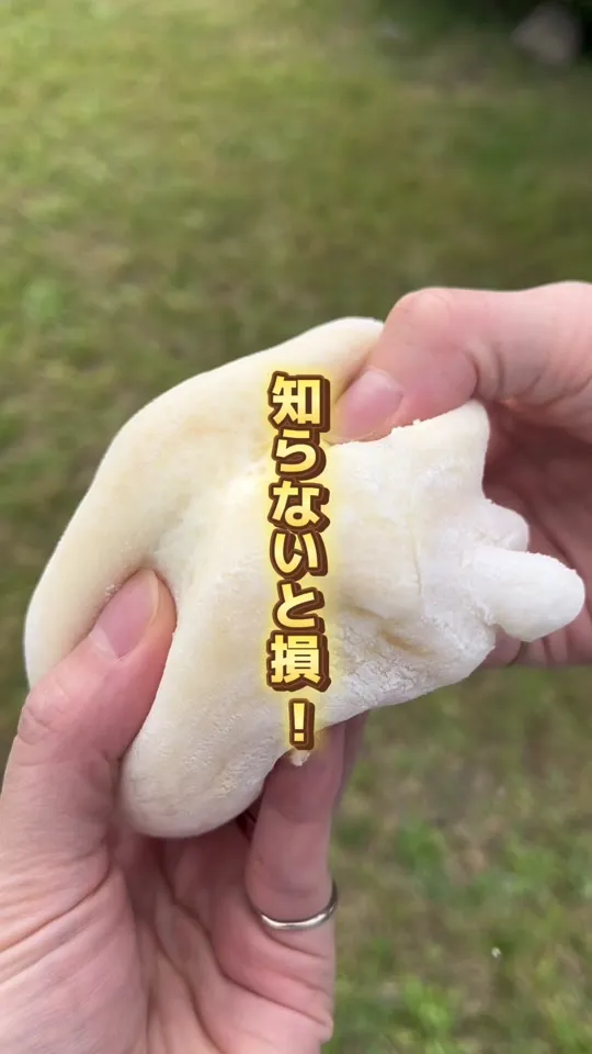 アンデリス 新琴似店