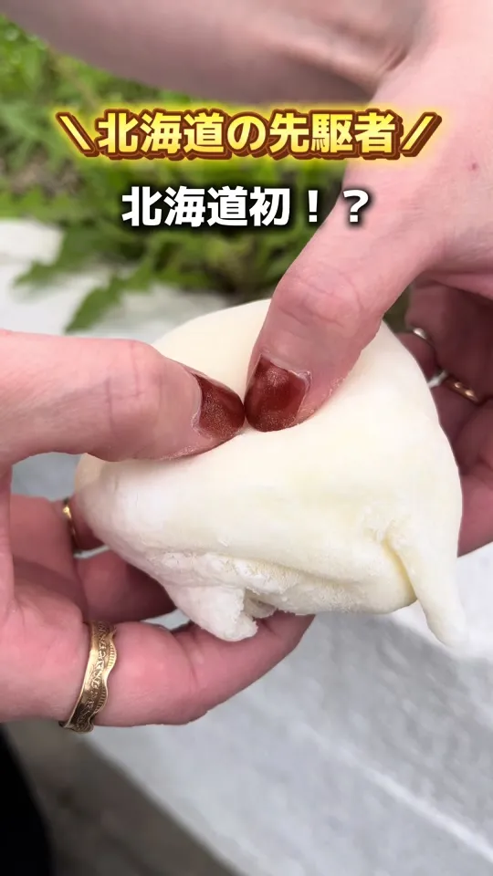 アンデリス