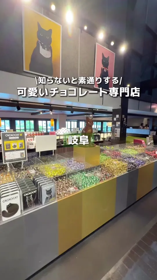 CACAOCAT 岐南店