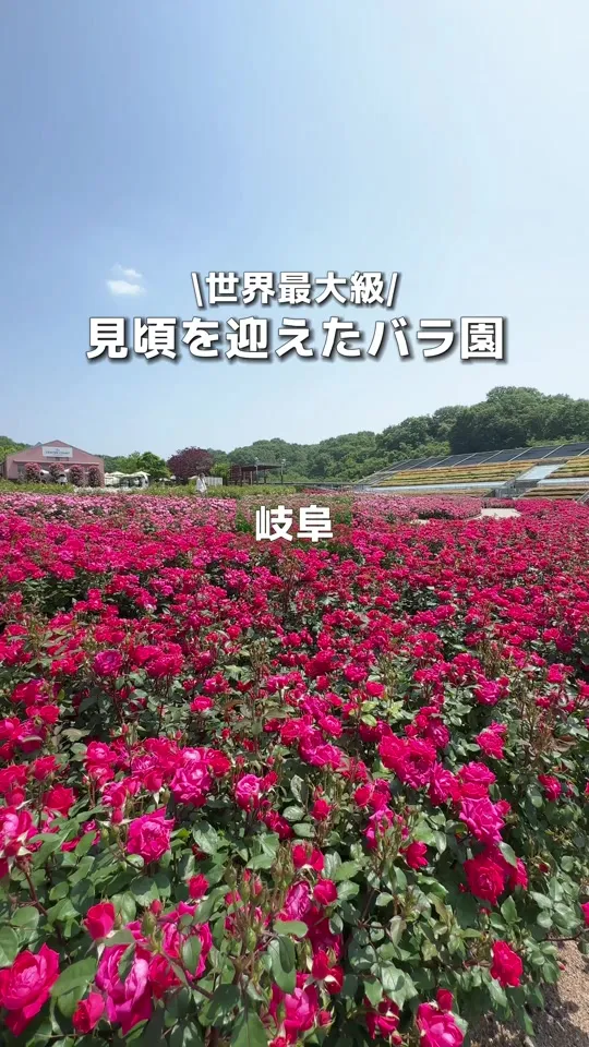 グラウスダイニング