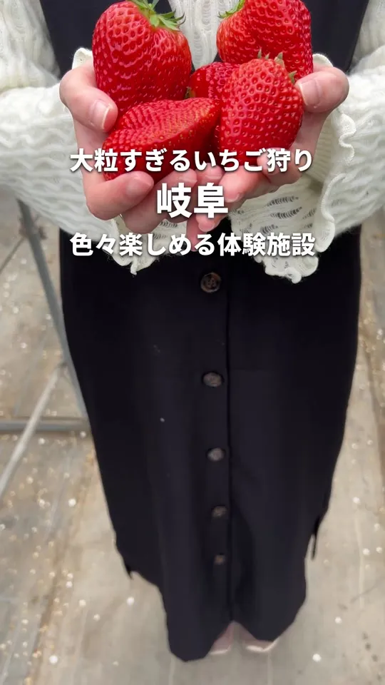 ふる里農園 美の関