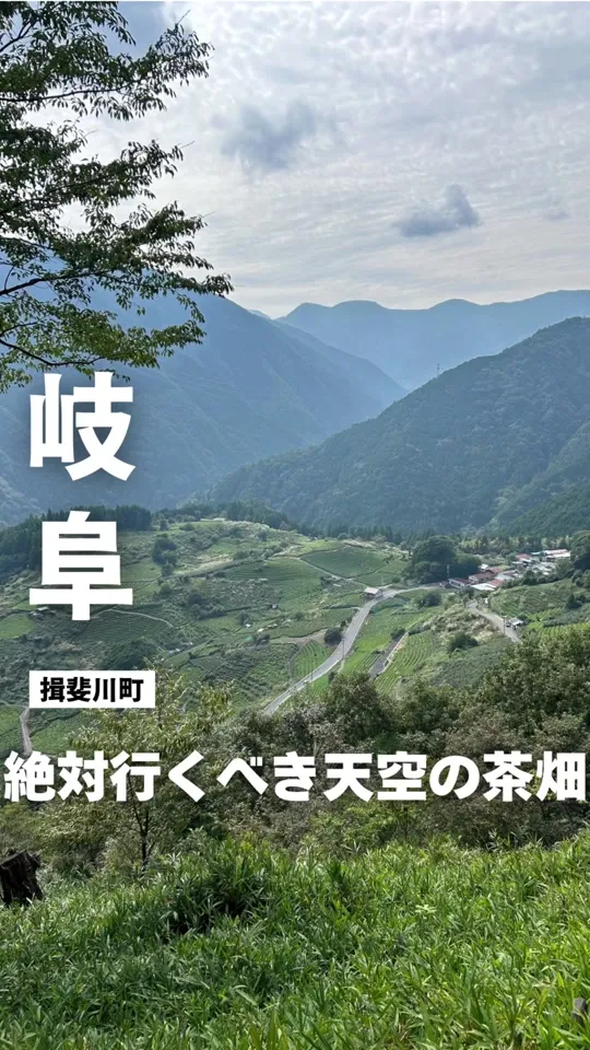 岐阜のマチュピチュ 天空の茶畑