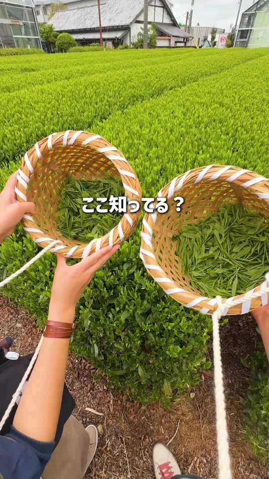 グリンピア牧之原