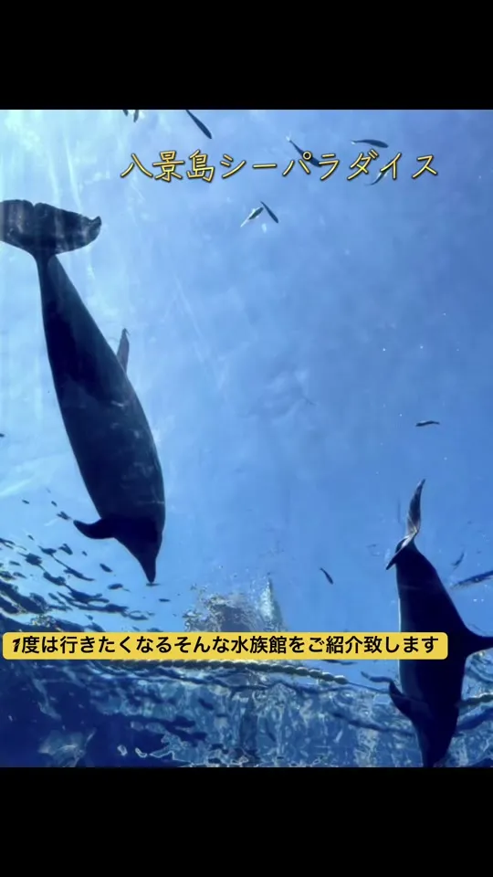 アクアスタジアム 売店