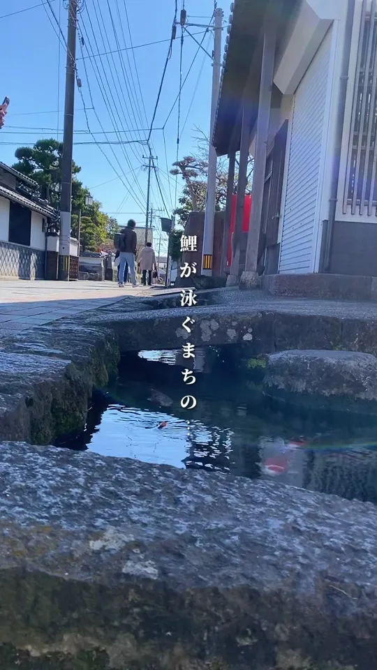 ほうじゅう