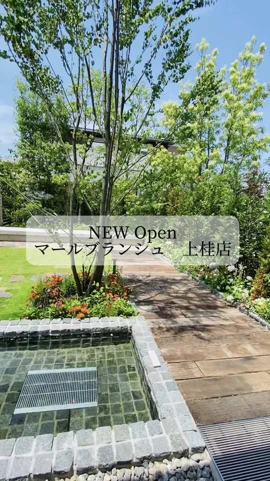 マールブランシュ 上桂店