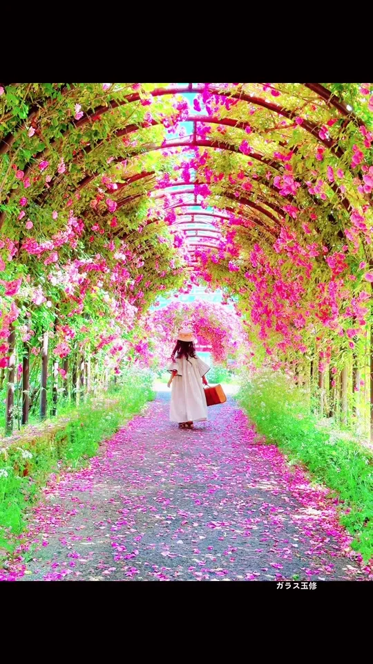 はな阿蘇美 観光農園