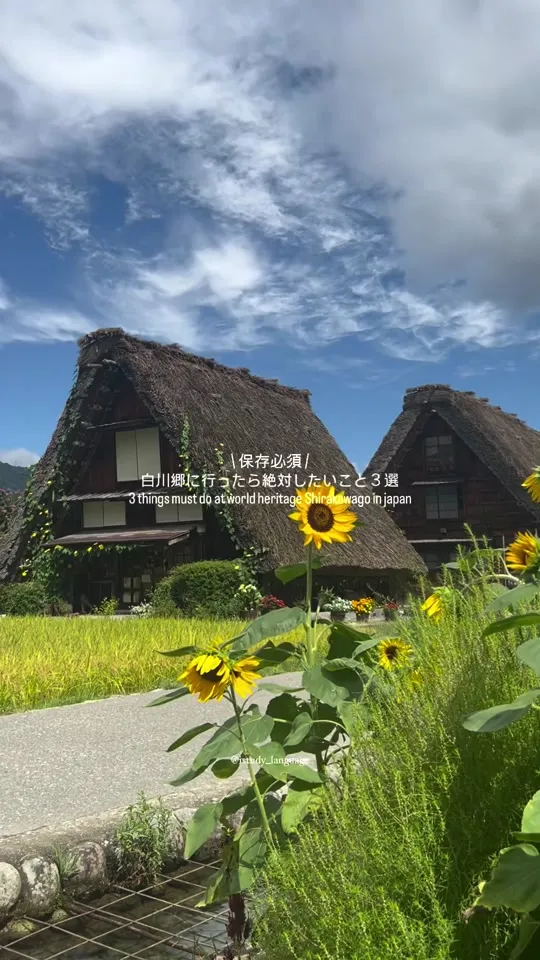 城山天守閣 展望台
