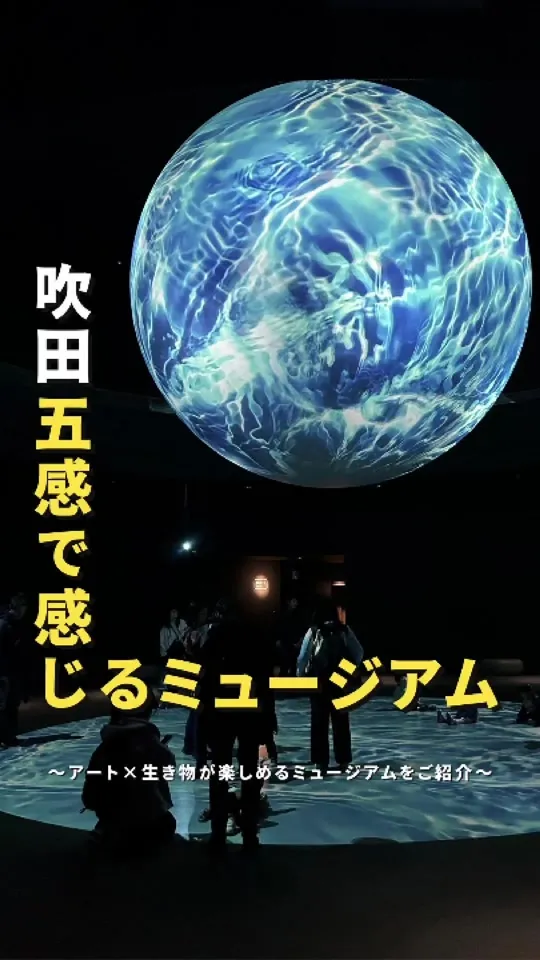 ニフレル