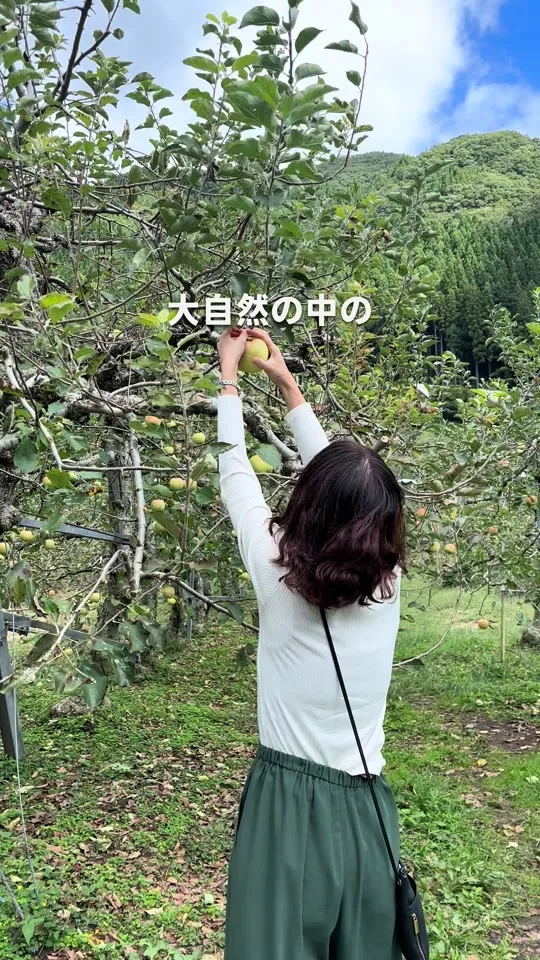 原観光りんご園