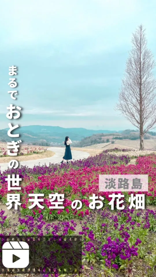 兵庫県立公園あわじ花さじき