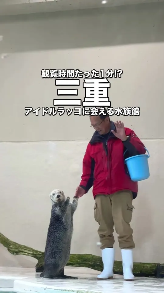 ベイサイド