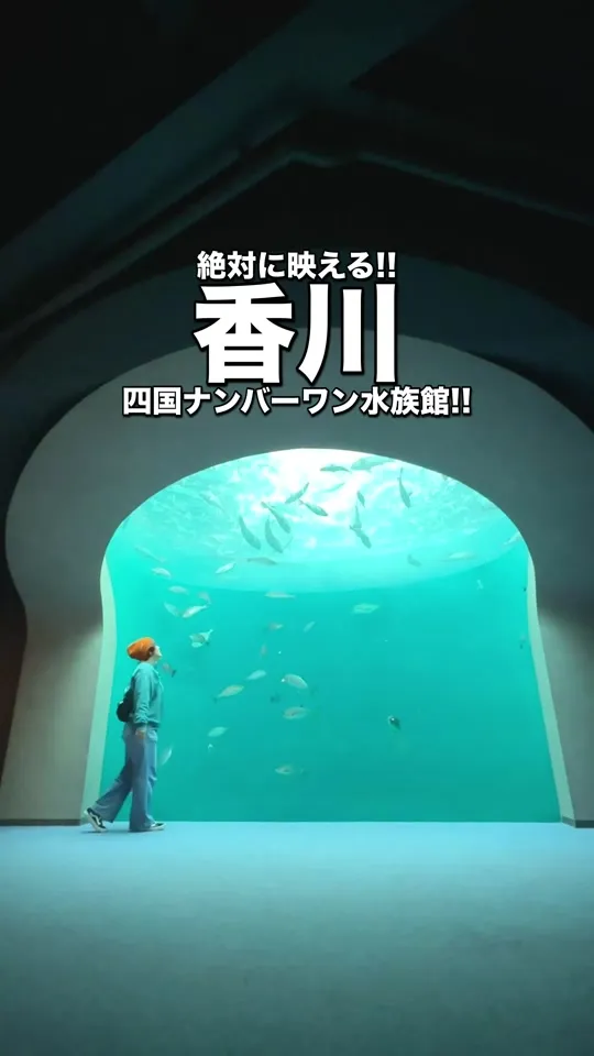 四国水族館