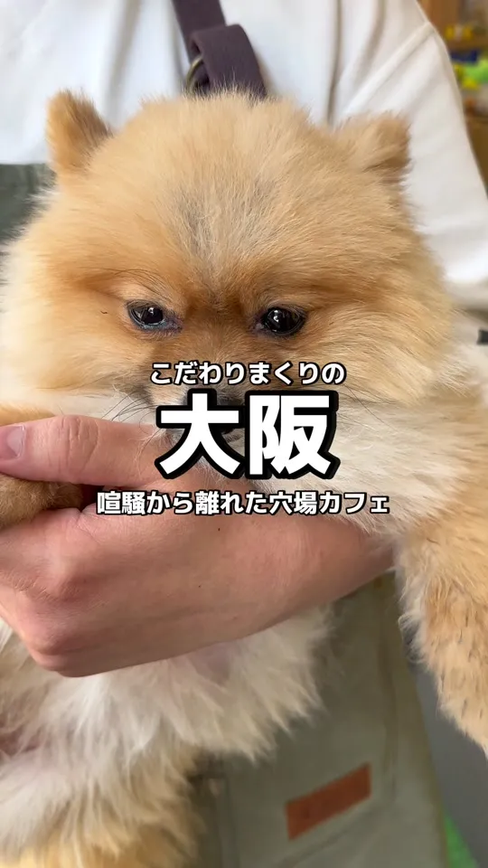 グラン コピ(grant kopi)