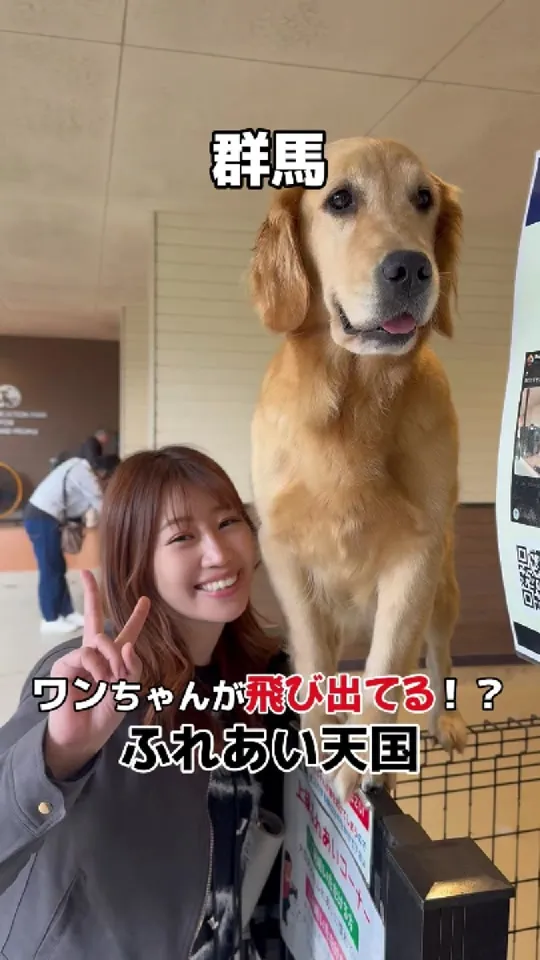 ドッグカフェ &ME