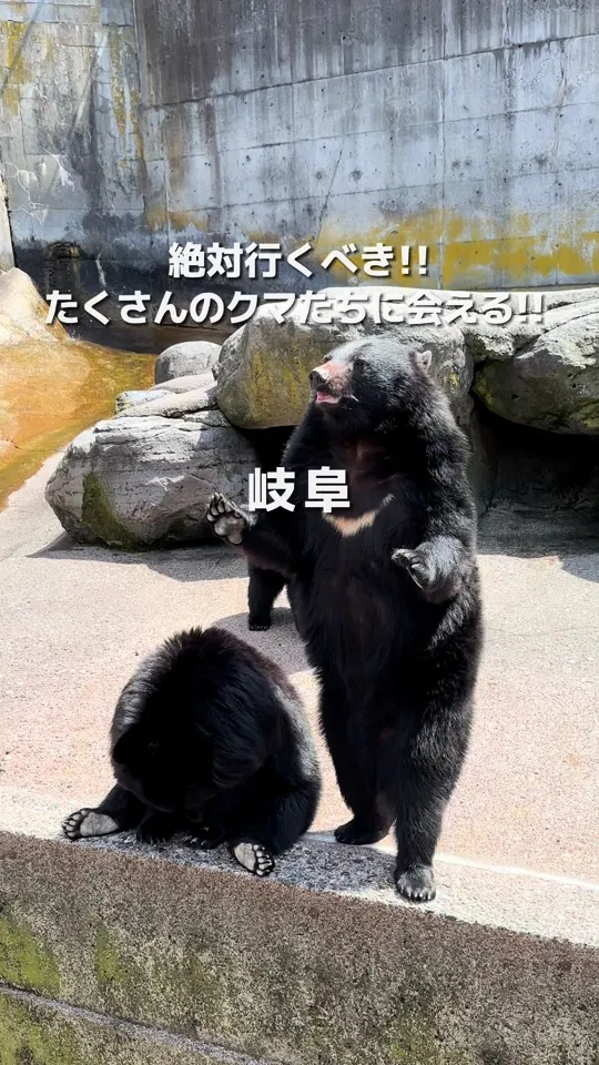 奥飛騨クマ牧場 森の物産館