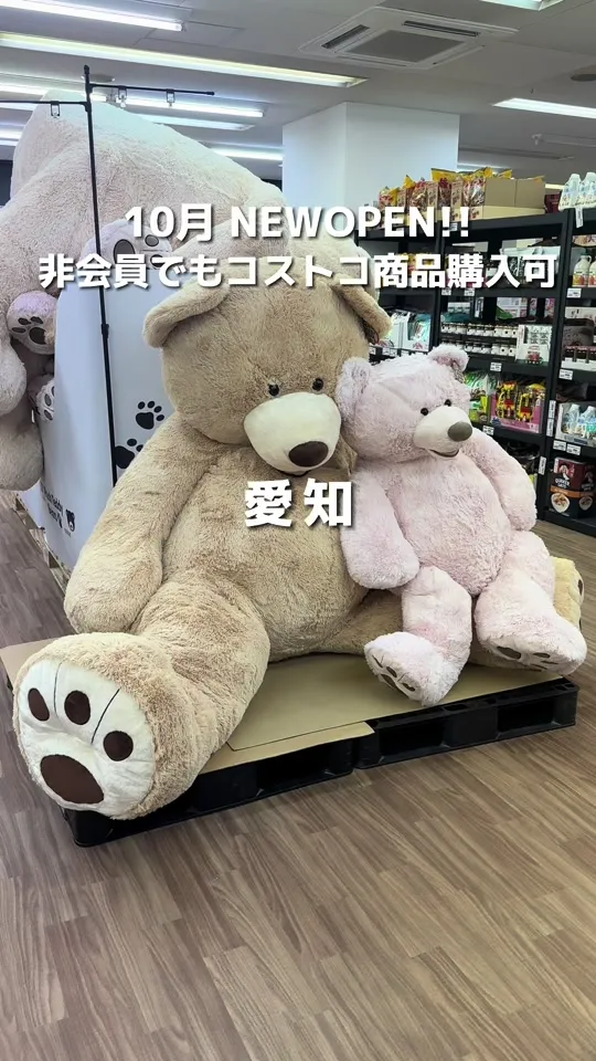ココマート 豊田店