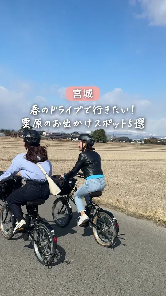 パレット 築館本店