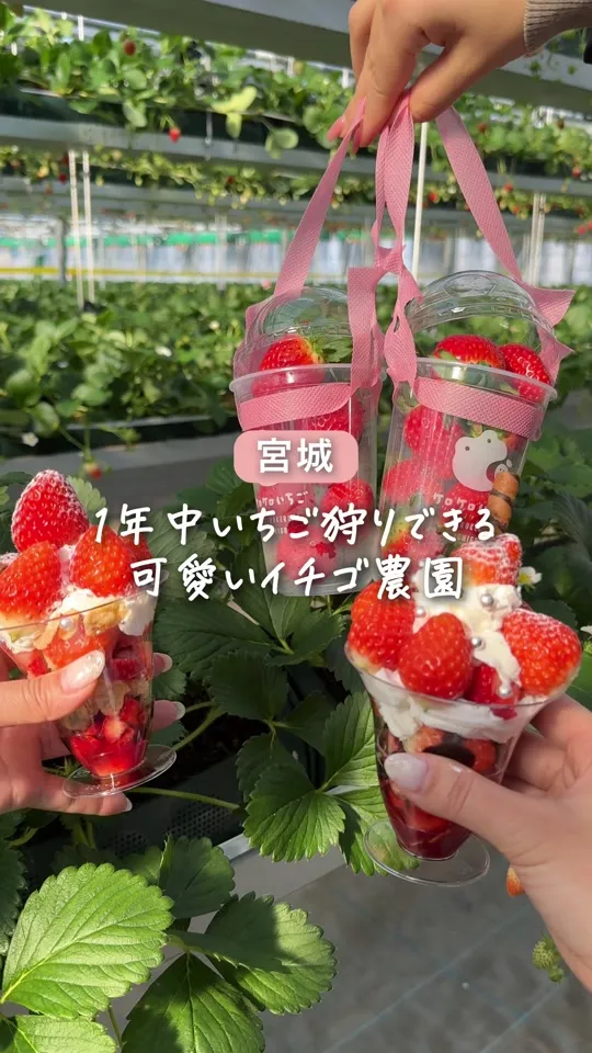 ケロケロの杜