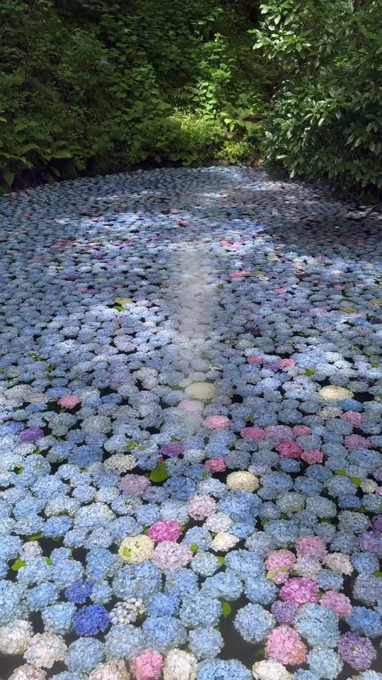 蔵