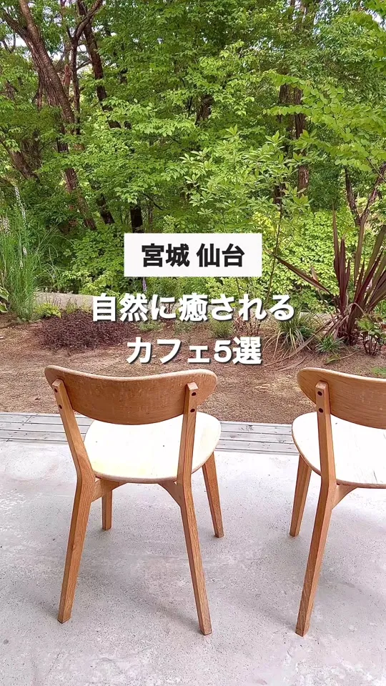 山の喫茶店 decoy