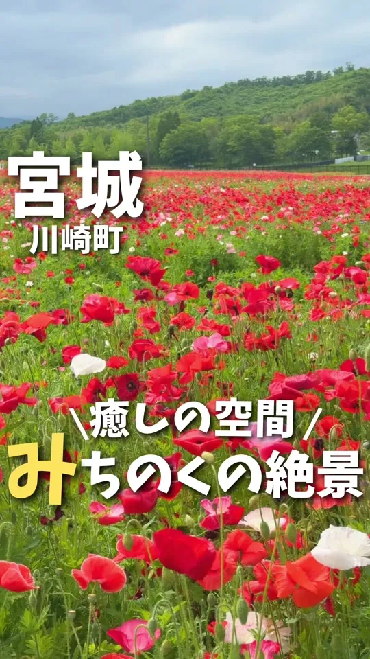 かもしか茶屋