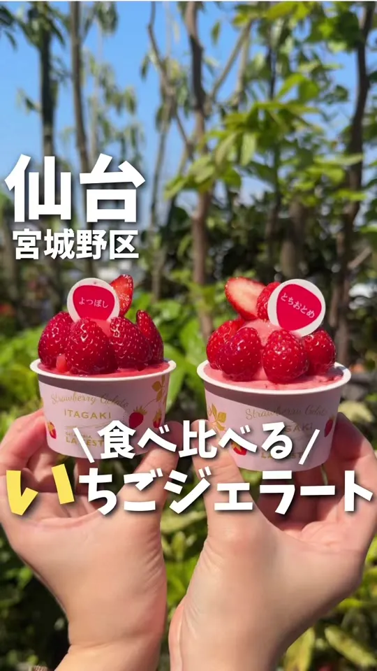 イタガキ×ジェラテリア ラ フェスタ 三井アウトレットパーク仙台港店