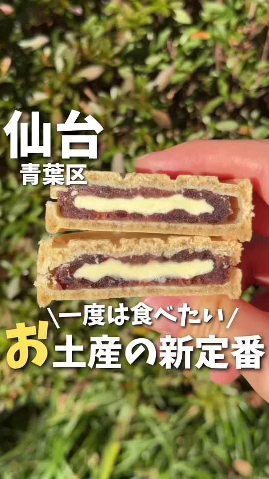 maison cœlacanthe(メゾン シーラカンス)