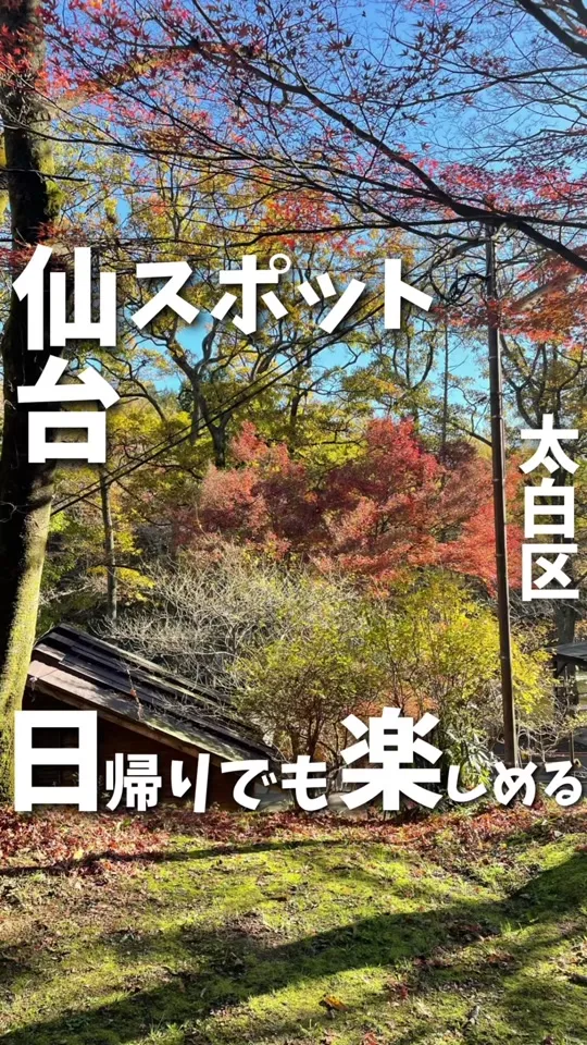 木の家ロッジ村