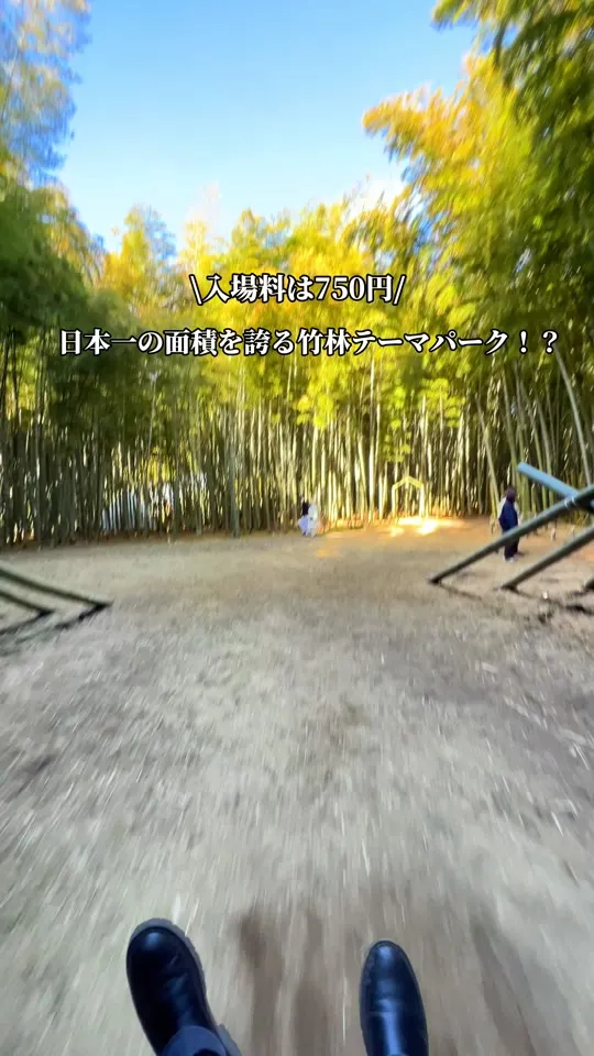 若竹の杜 若山農場
