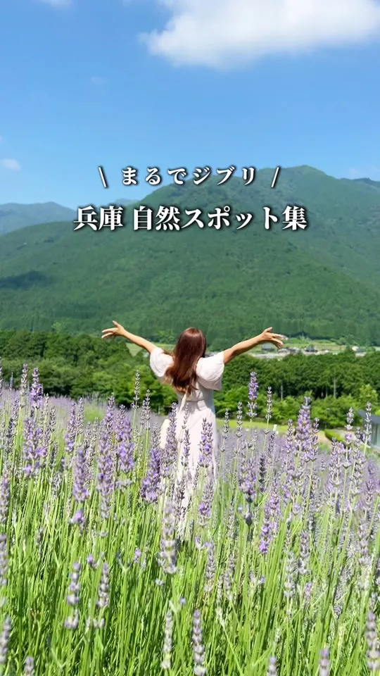 ラベンダーパーク多可 ショップ